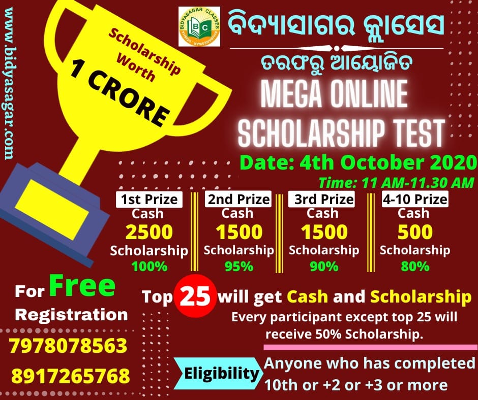 Mega online schloarship test
