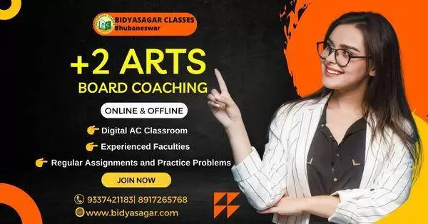 plus 2 Arts coaching